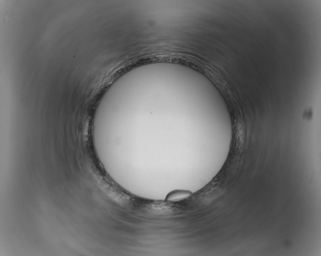 X0000112520668200908171114