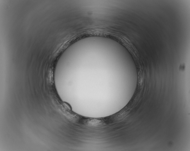 X0000112520669200908171114