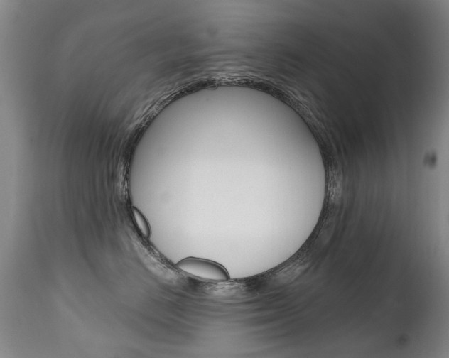 X0000112520670200908171114