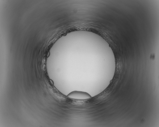 X0000112520671200908171114