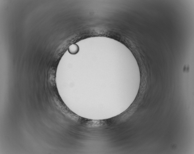 X0000112520672200908171114