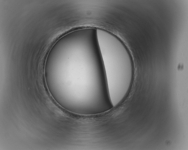 X0000112520673200908171113