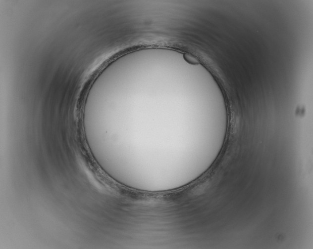 X0000112520674200908171113