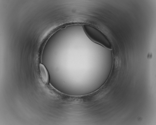 X0000112520676200908171113