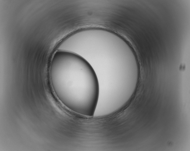 X0000112520677200908171113