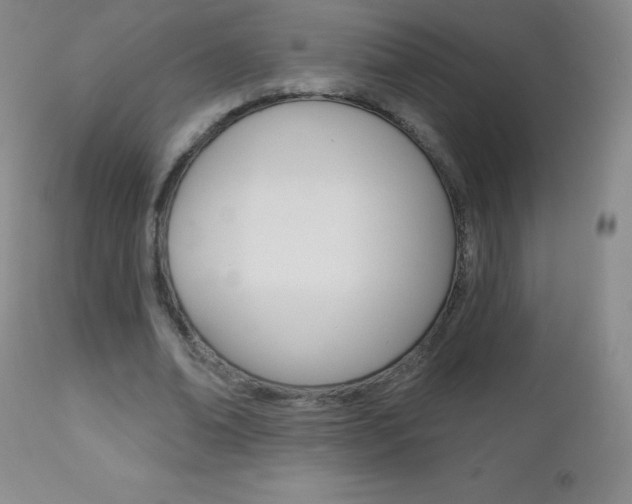 X0000112520678200908171113
