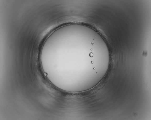 X0000112520679200908171113
