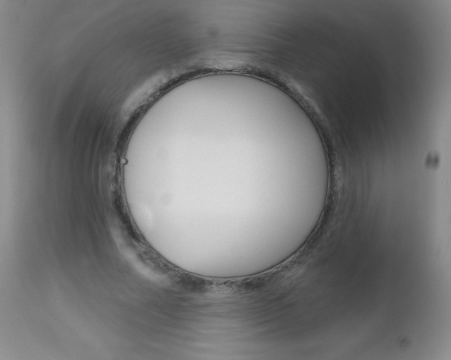 X0000112520682200908171113