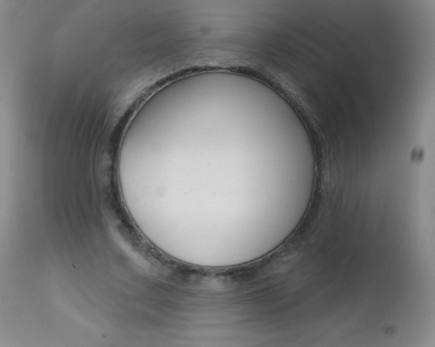 X0000112520683200908171113