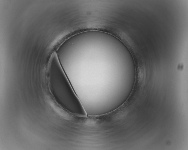 X0000112520684200908171113