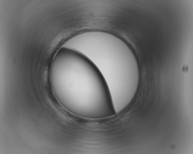 X0000112520685200908171113