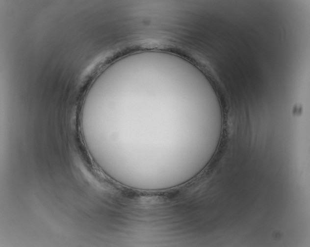X0000112520686200908171113