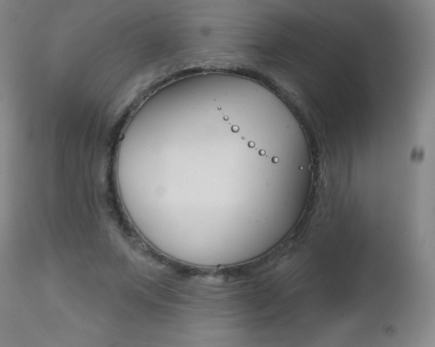 X0000112520687200908171113