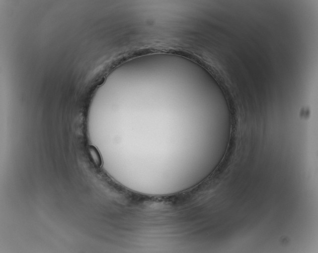 X0000112520689200908171113