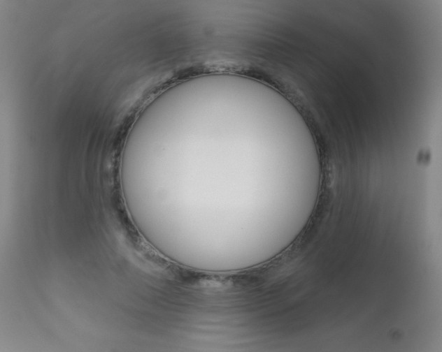 X0000112520690200908171113