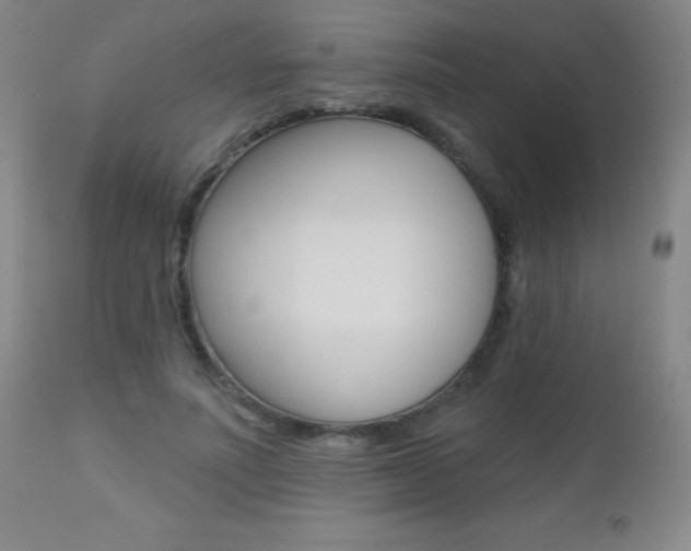 X0000112520691200908171113