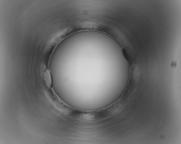 X0000112520692200908171113