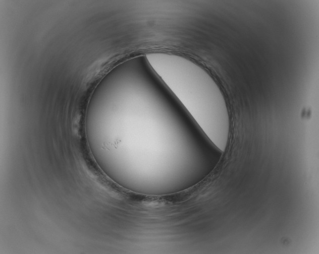 X0000112520693200908171112