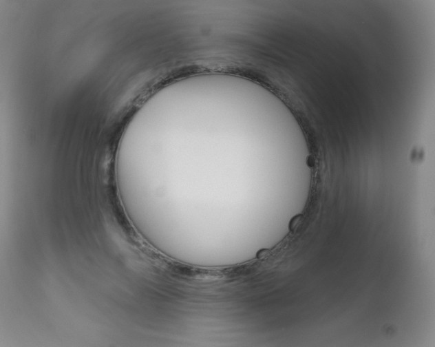 X0000112520694200908171112