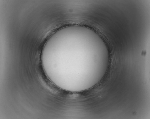 X0000112520695200908171112