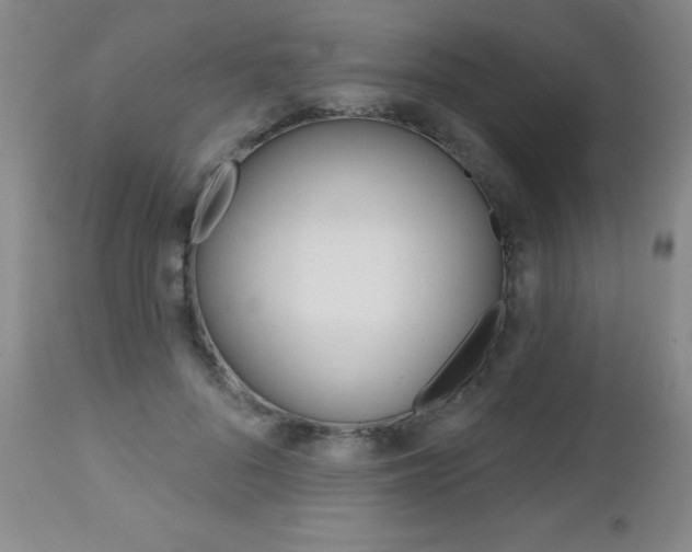 X0000112520696200908171112