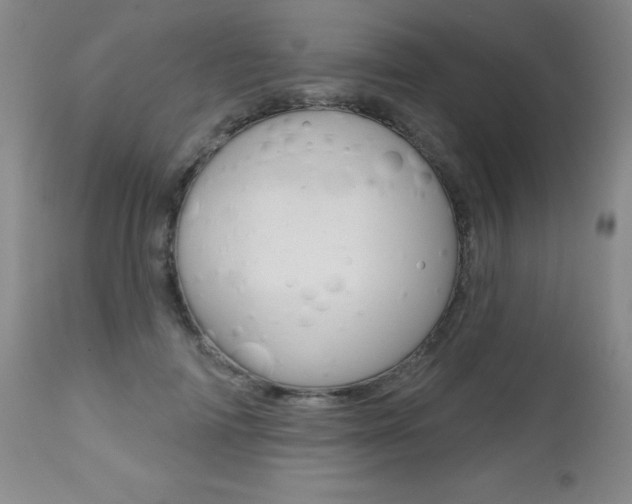 X0000112520698200908171112