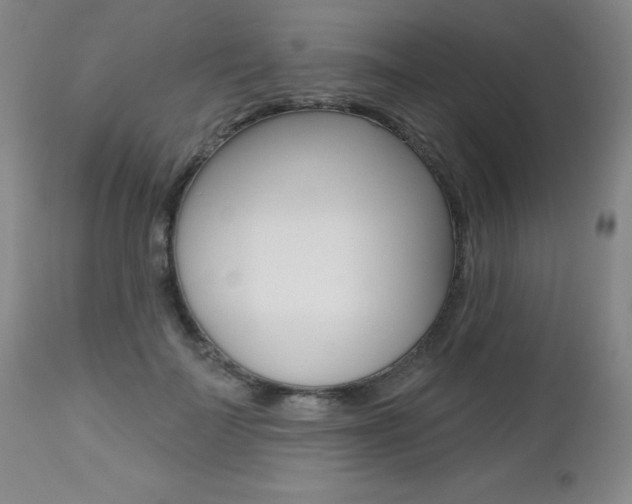 X0000112520699200908171112