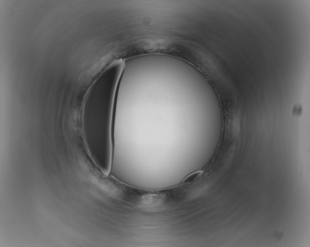 X0000112520700200908171112
