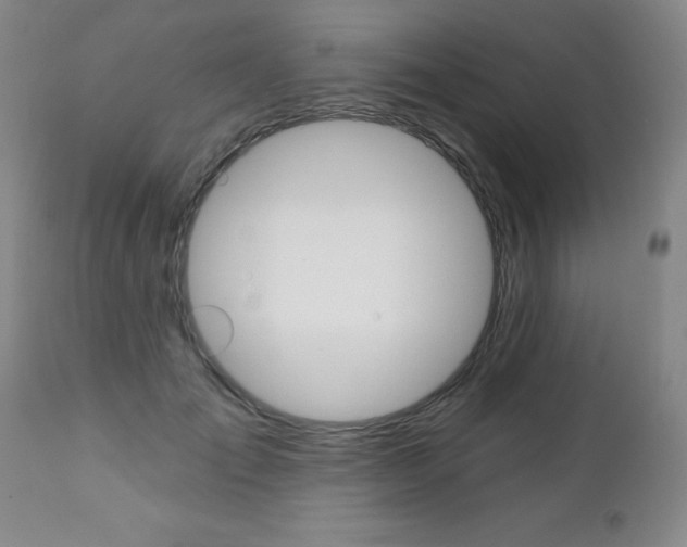 X0000112520701200908171112