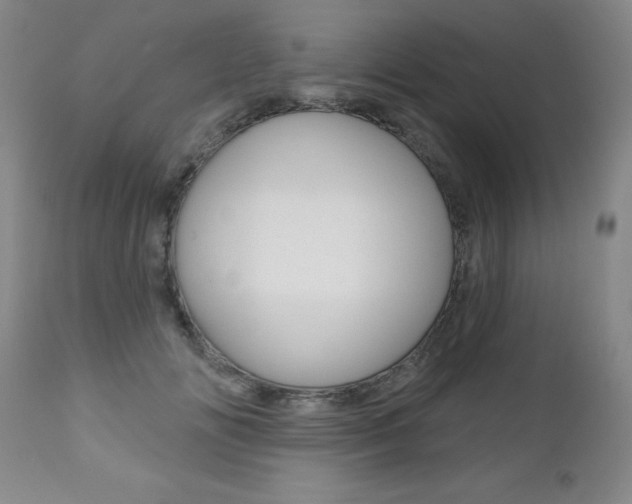 X0000112520702200908171112