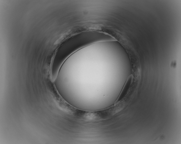 X0000112520704200908171112