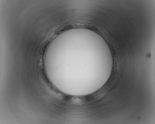 X0000112520706200908171112