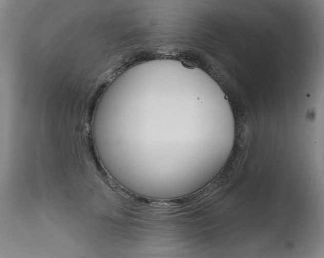 X0000112520707200908171112