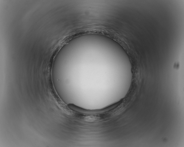 X0000112520708200908171112