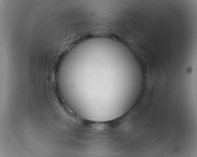 X0000112520711200908171112