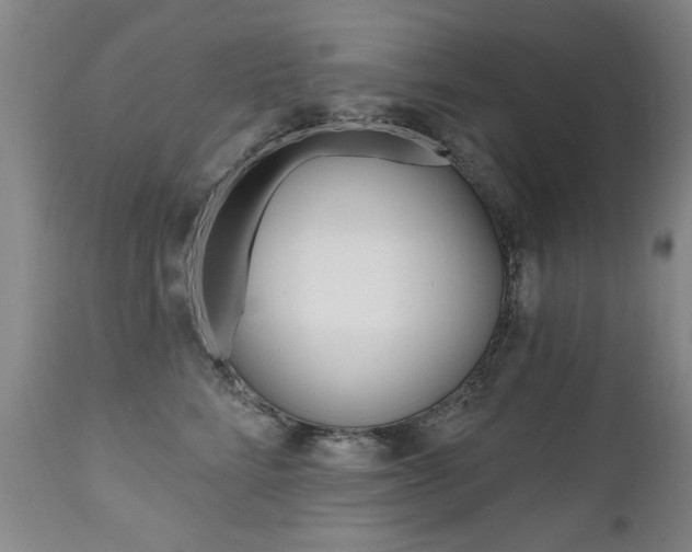 X0000112520712200908171112