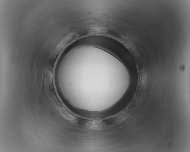 X0000112520716200908171112