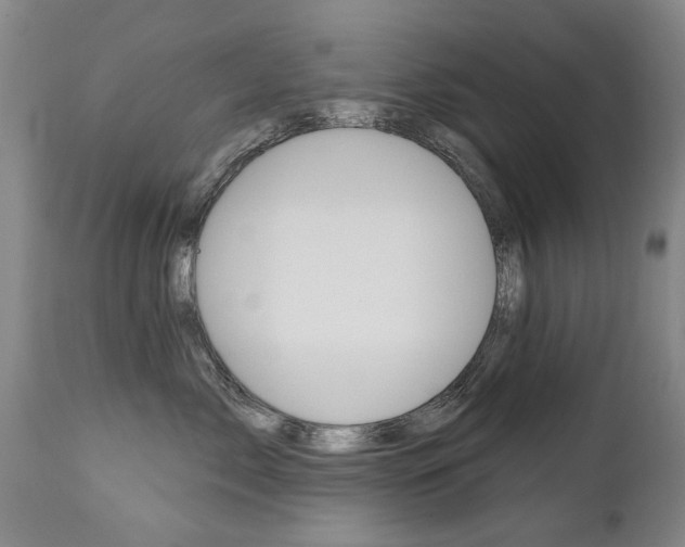 X0000112520717200908171112