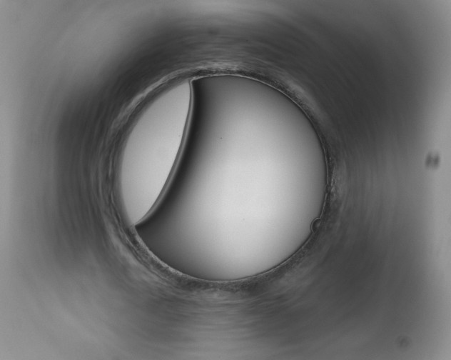 X0000112520722200908171111