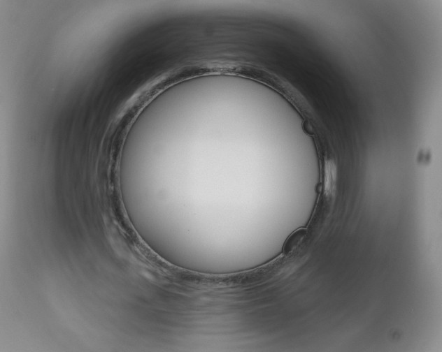 X0000112520723200908171111
