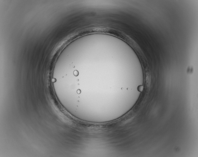 X0000112520725200908171111