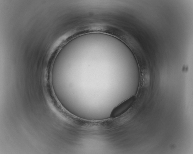 X0000112520726200908171111