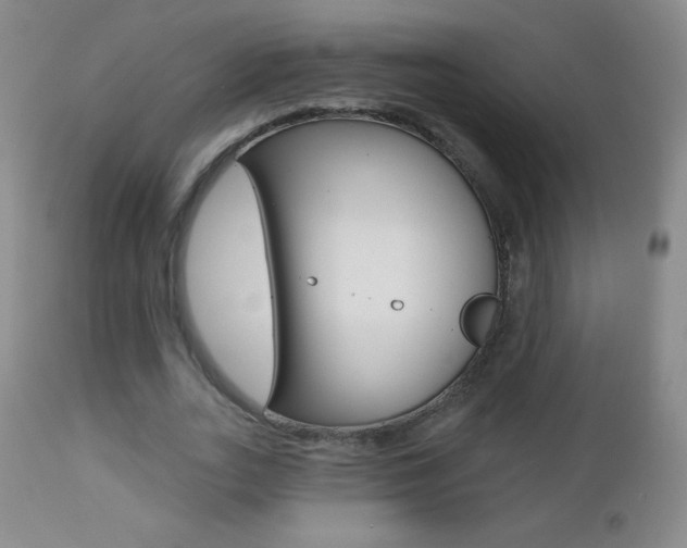 X0000112520727200908171111