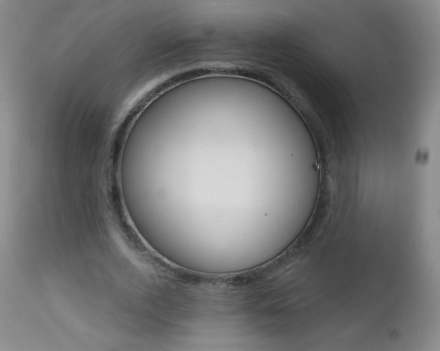 X0000112520728200908171111