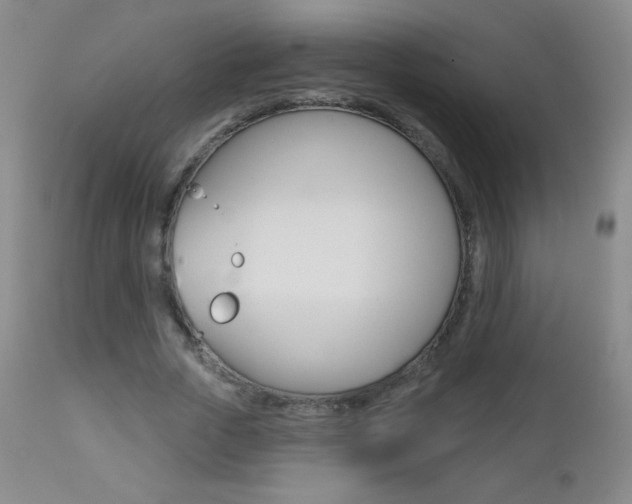 X0000112520729200908171111