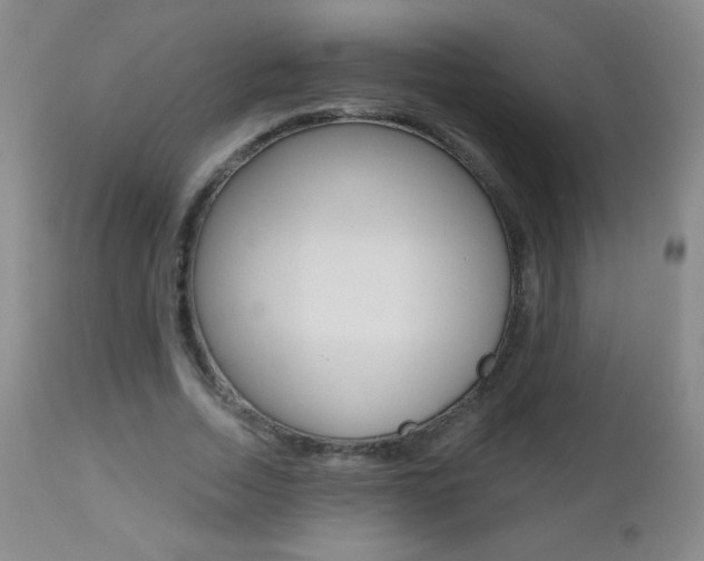 X0000112520730200908171111