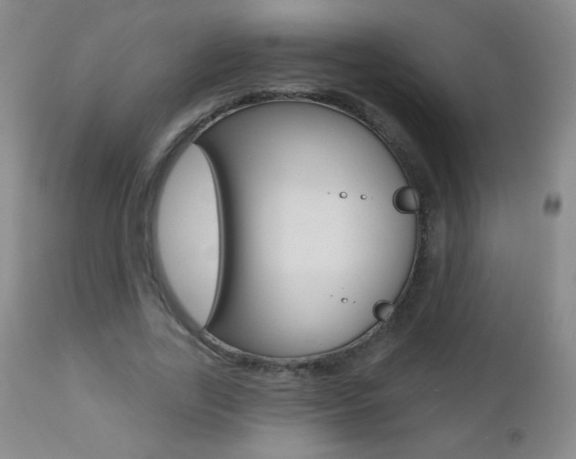 X0000112520731200908171111