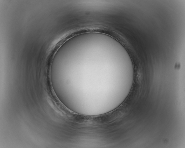 X0000112520732200908171111