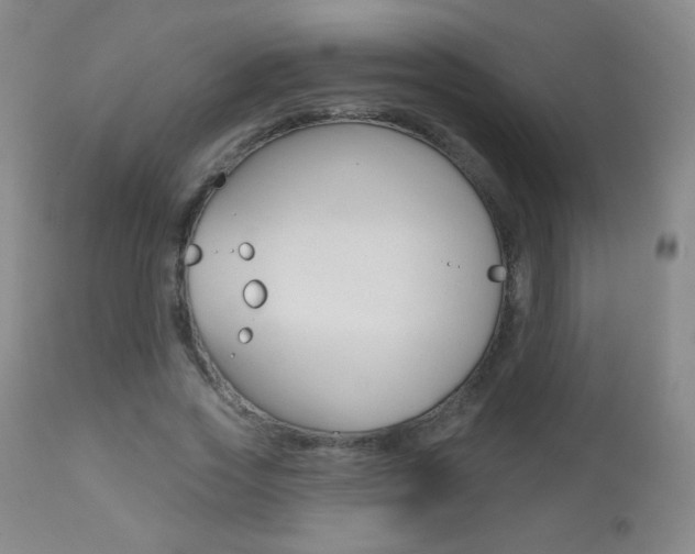 X0000112520733200908171111