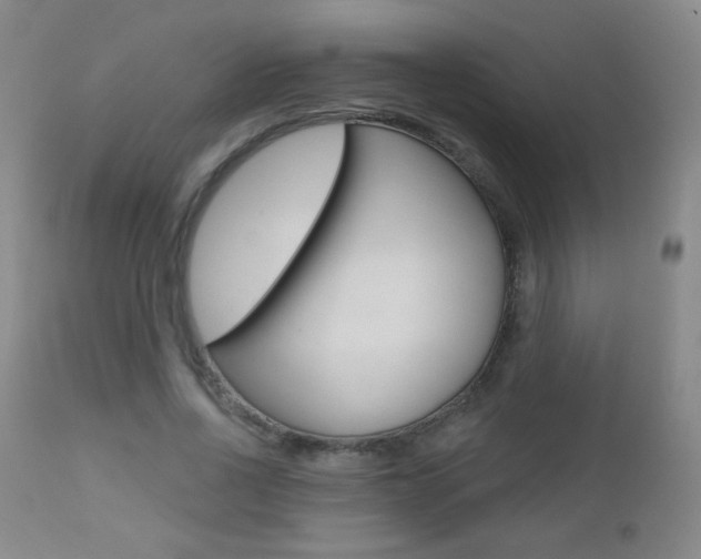 X0000112520734200908171111